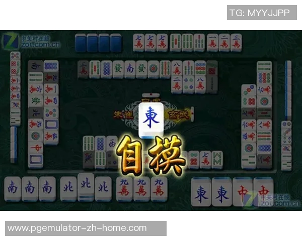 pg麻将胡了游戏视频-PG麻将胡了游戏视频的魅力与乐趣-pg麻将胡了游戏视频